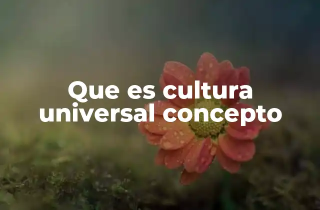 Que es Cultura Universal Concepto