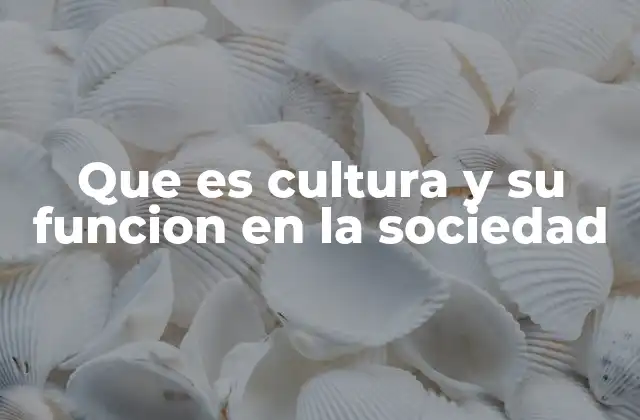 Que es Cultura y Su Funcion en la Sociedad