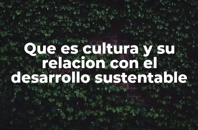 Que es Cultura y Su Relacion con el Desarrollo Sustentable