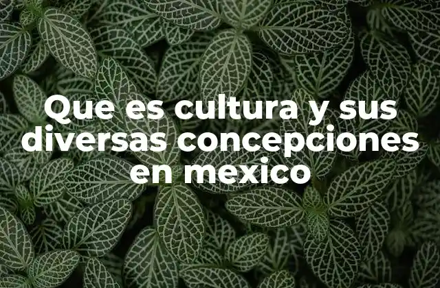 Que es Cultura y Sus Diversas Concepciones en Mexico