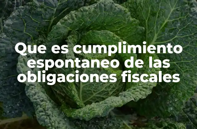 Que es Cumplimiento Espontaneo de las Obligaciones Fiscales