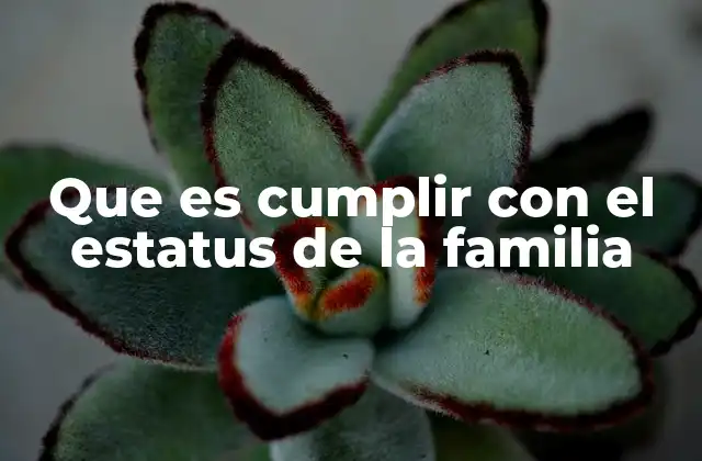 Que es Cumplir con el Estatus de la Familia