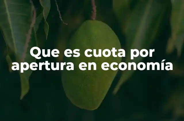 Que es Cuota por Apertura en Economía