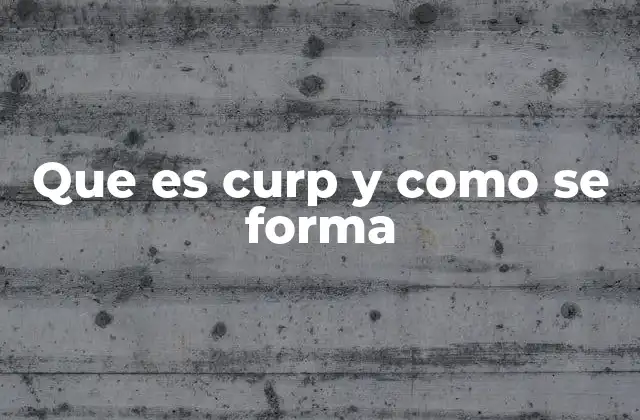 Que es Curp y como Se Forma
