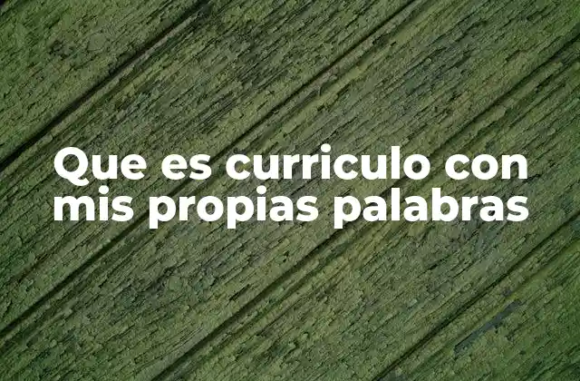 Que es Curriculo con Mis Propias Palabras