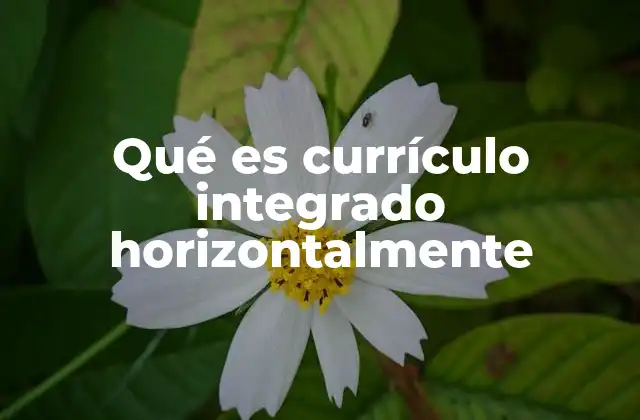 Qué es Currículo Integrado Horizontalmente