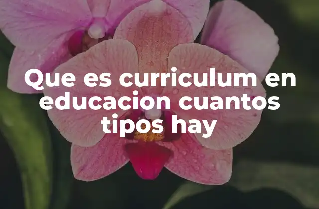 Que es Curriculum en Educacion Cuantos Tipos Hay