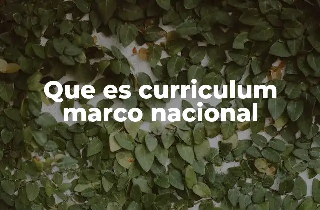Que es Curriculum Marco Nacional