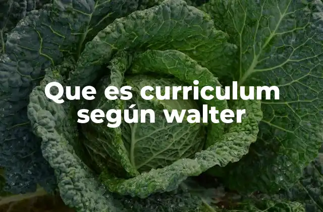 Que es Curriculum según Walter