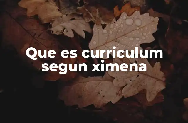 Que es Curriculum Segun Ximena