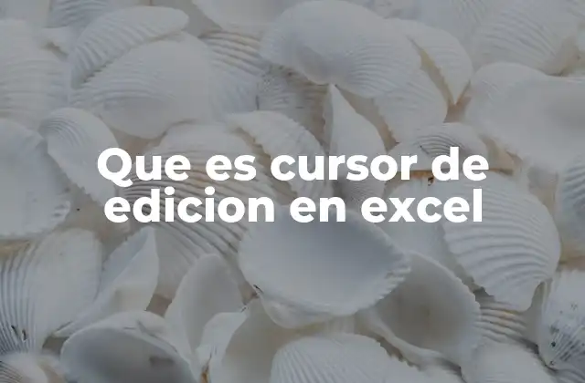 Que es Cursor de Edicion en Excel
