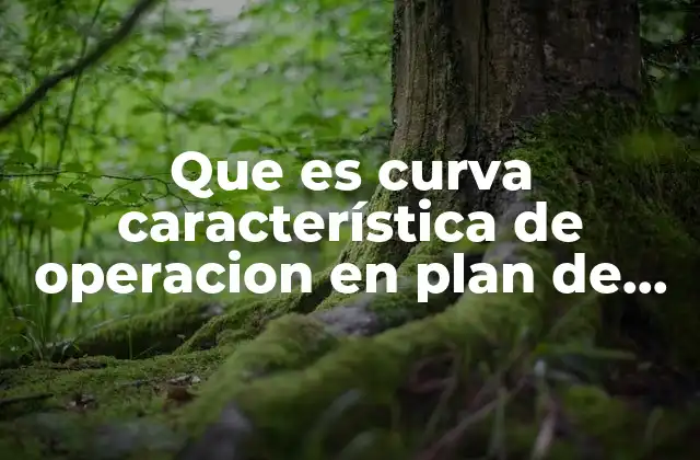 Que es Curva Característica de Operacion en Plan de Muestreo