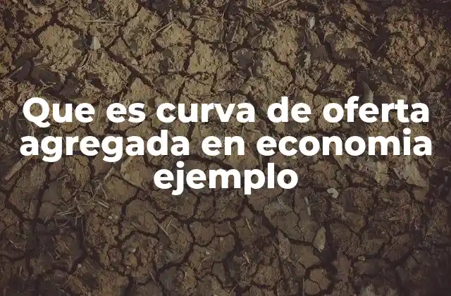 Que es Curva de Oferta Agregada en Economia Ejemplo