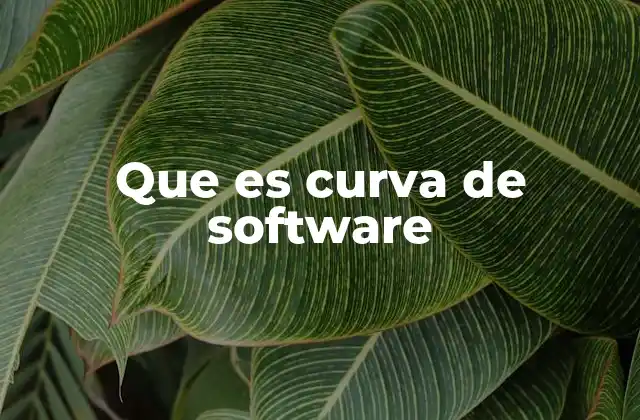 Que es Curva de Software