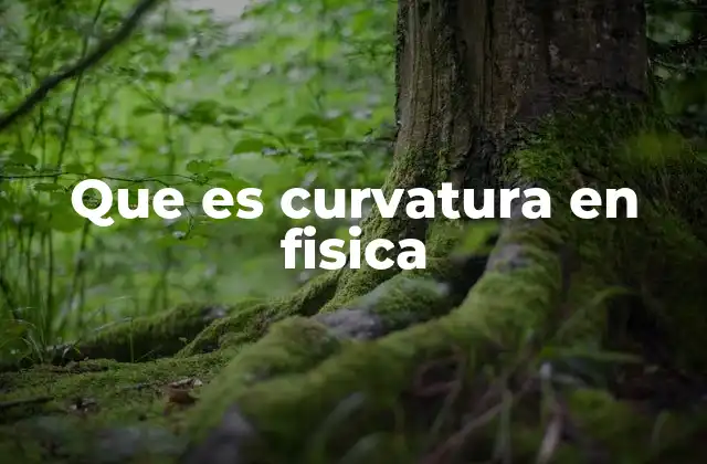 La importancia de la curvatura en la física moderna