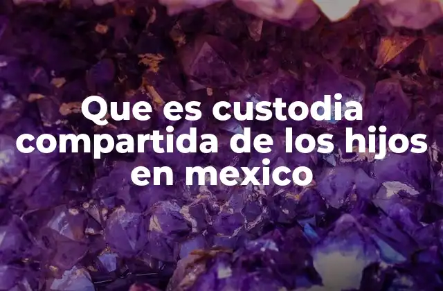 Que es Custodia Compartida de los Hijos en Mexico