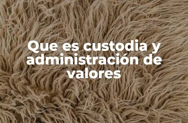 Que es Custodia y Administración de Valores