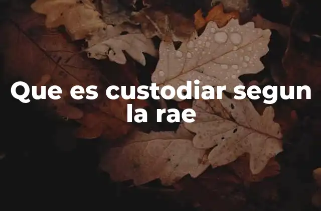 Que es Custodiar Segun la Rae 2 El verbo custodiar en el ámbito legal y social