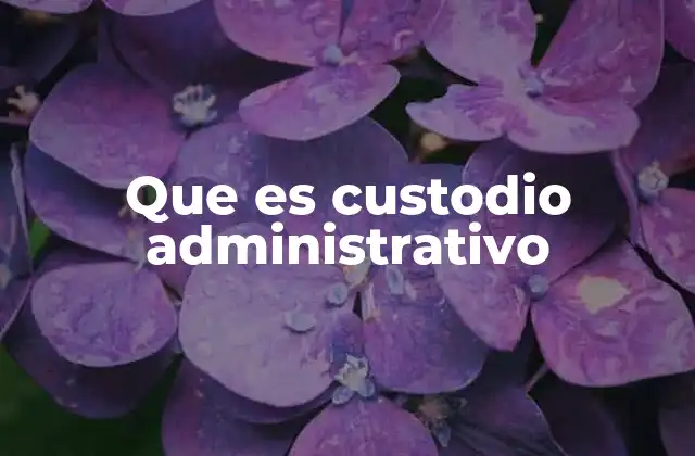 Que es Custodio Administrativo