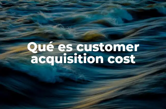Qué es Customer Acquisition Cost