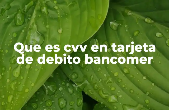 Que es Cvv en Tarjeta de Debito Bancomer 2 Cómo funciona el código de verificación de tarjeta