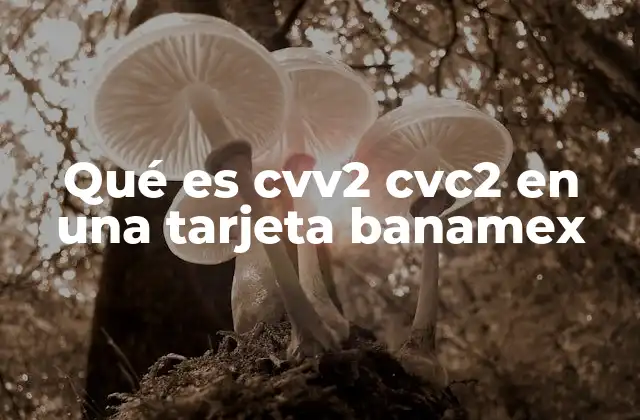 Qué es Cvv2 Cvc2 en una Tarjeta Banamex