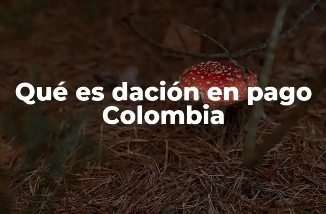 Qué es Dación en Pago Colombia