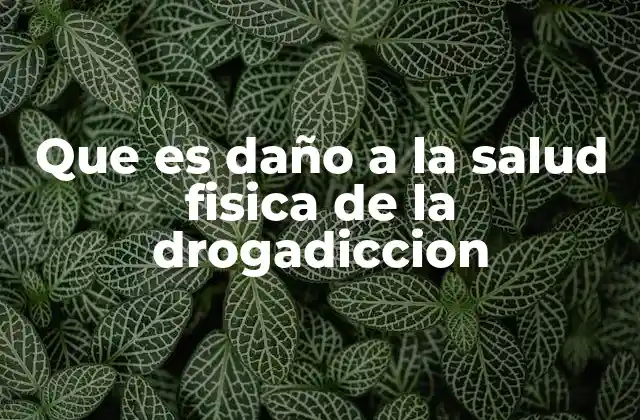 Que es Daño a la Salud Fisica de la Drogadiccion