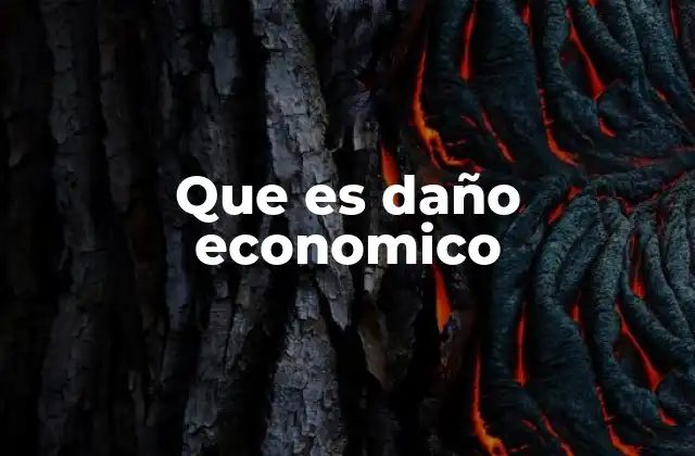 Que es Daño Economico