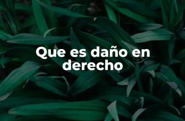 Que es Daño en Derecho