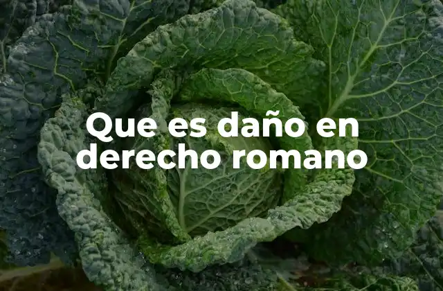 Que es Daño en Derecho Romano
