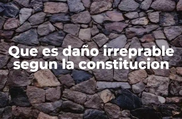 Que es Daño Irreprable Segun la Constitucion