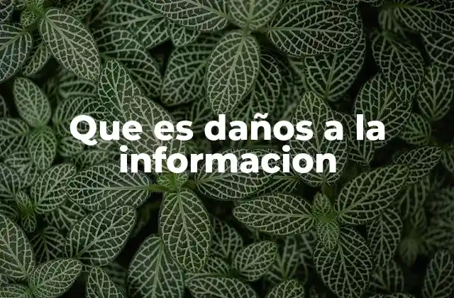 Que es Daños a la Informacion