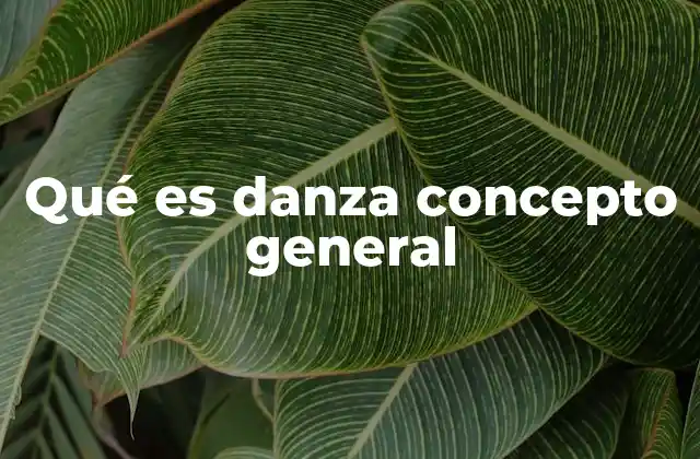 Qué es Danza Concepto General