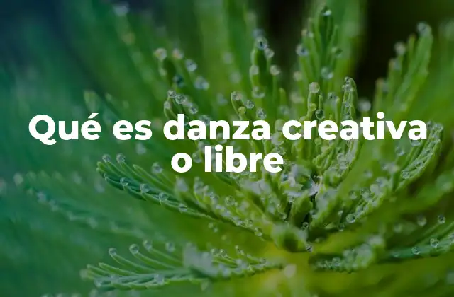 Qué es Danza Creativa o Libre