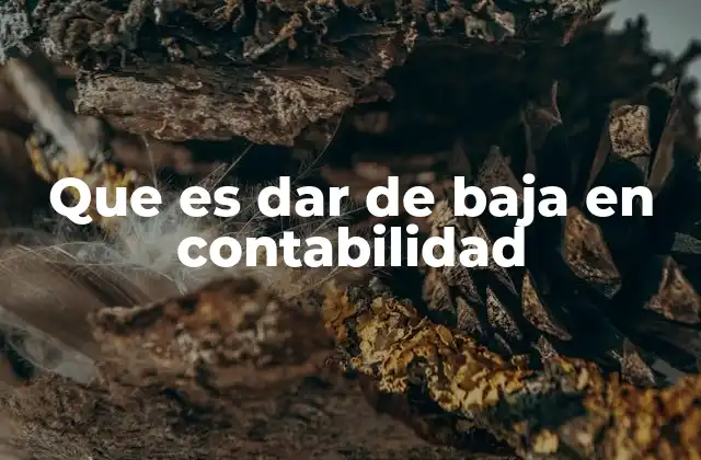 Que es Dar de Baja en Contabilidad