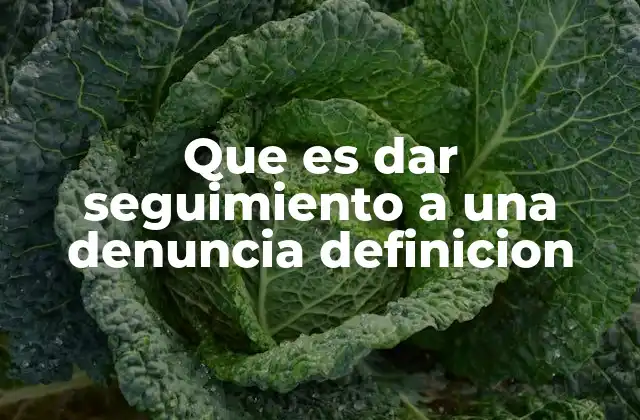 Que es Dar Seguimiento a una Denuncia Definicion