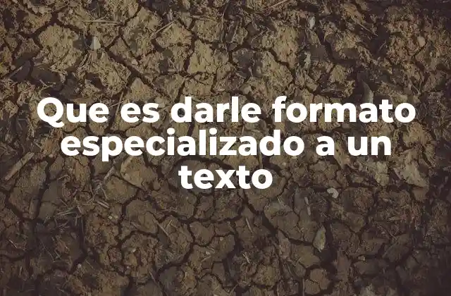 Que es Darle Formato Especializado a un Texto