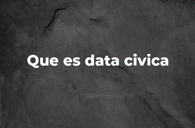 Que es Data Civica