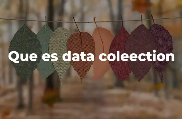 Que es Data Coleection