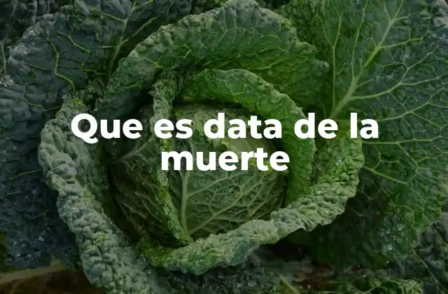 Que es Data de la Muerte