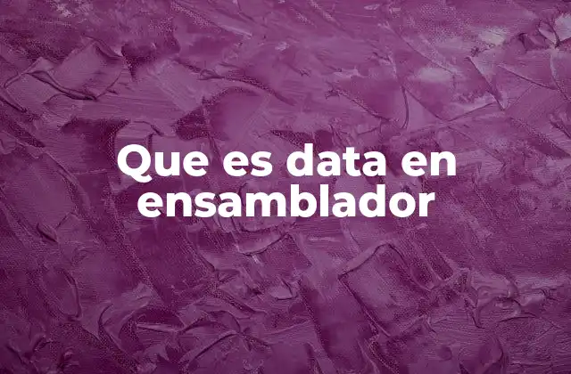 Que es Data en Ensamblador