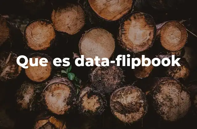 Que es Data-flipbook