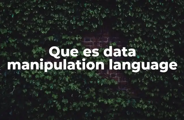 Que es Data Manipulation Language 2 El rol del DML en el manejo de datos