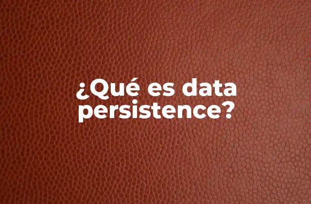 ¿qué es Data Persistence?