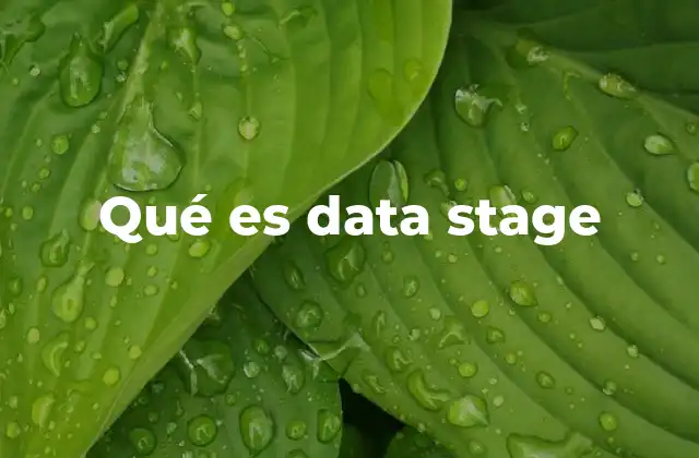 Qué es Data Stage