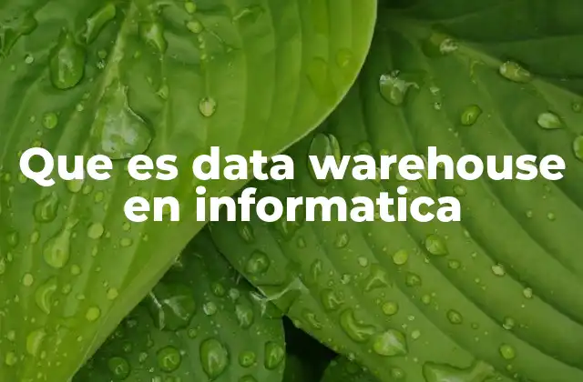 Que es Data Warehouse en Informatica