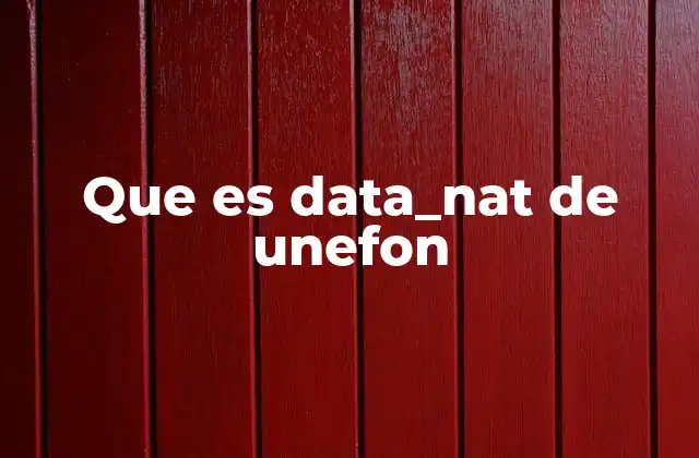 Que es Data_nat de Unefon