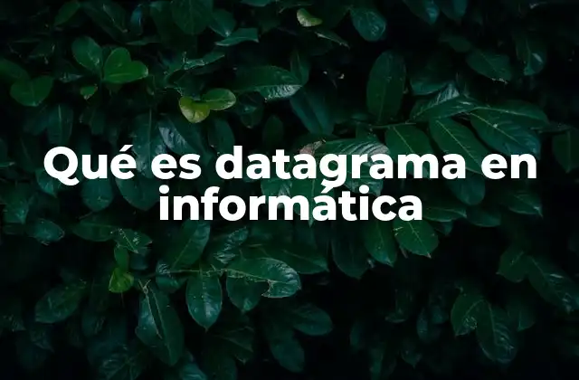 Qué es Datagrama en Informática