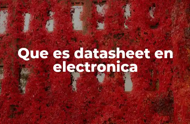 Que es Datasheet en Electronica